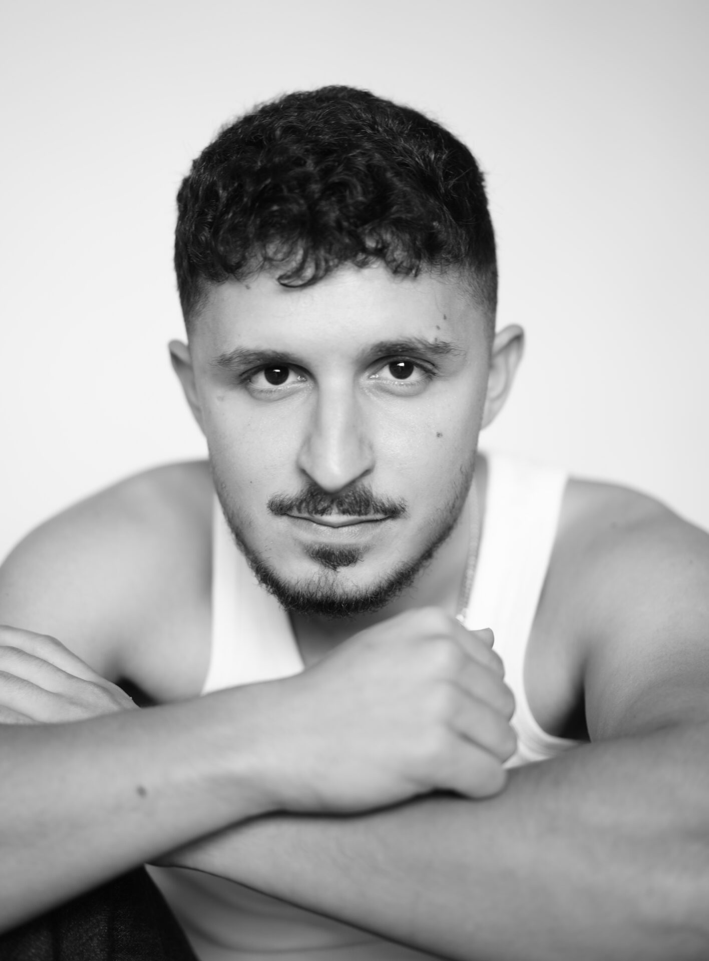 שחף מישורי שרון (1)