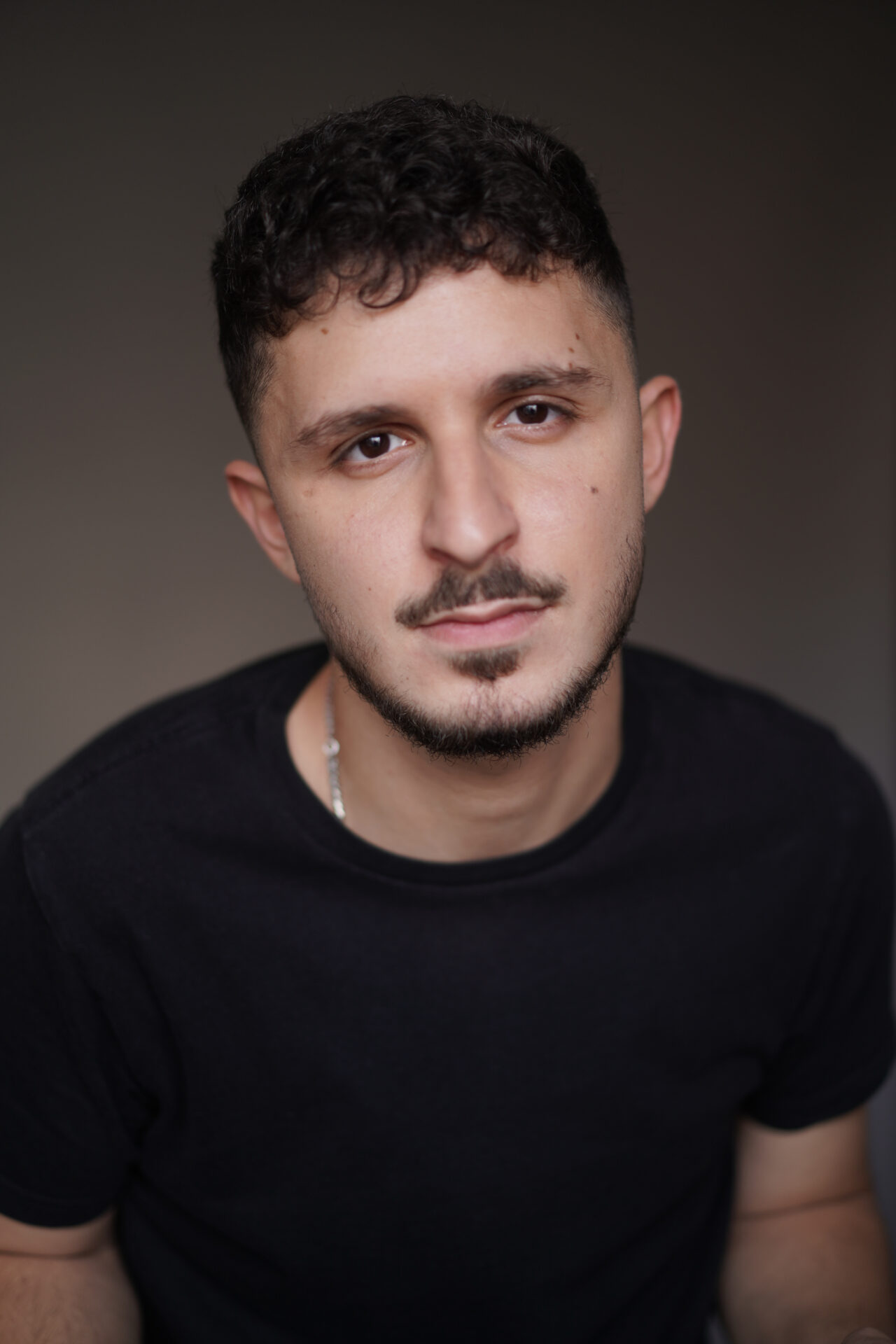 שחף מישורי שרון (2)