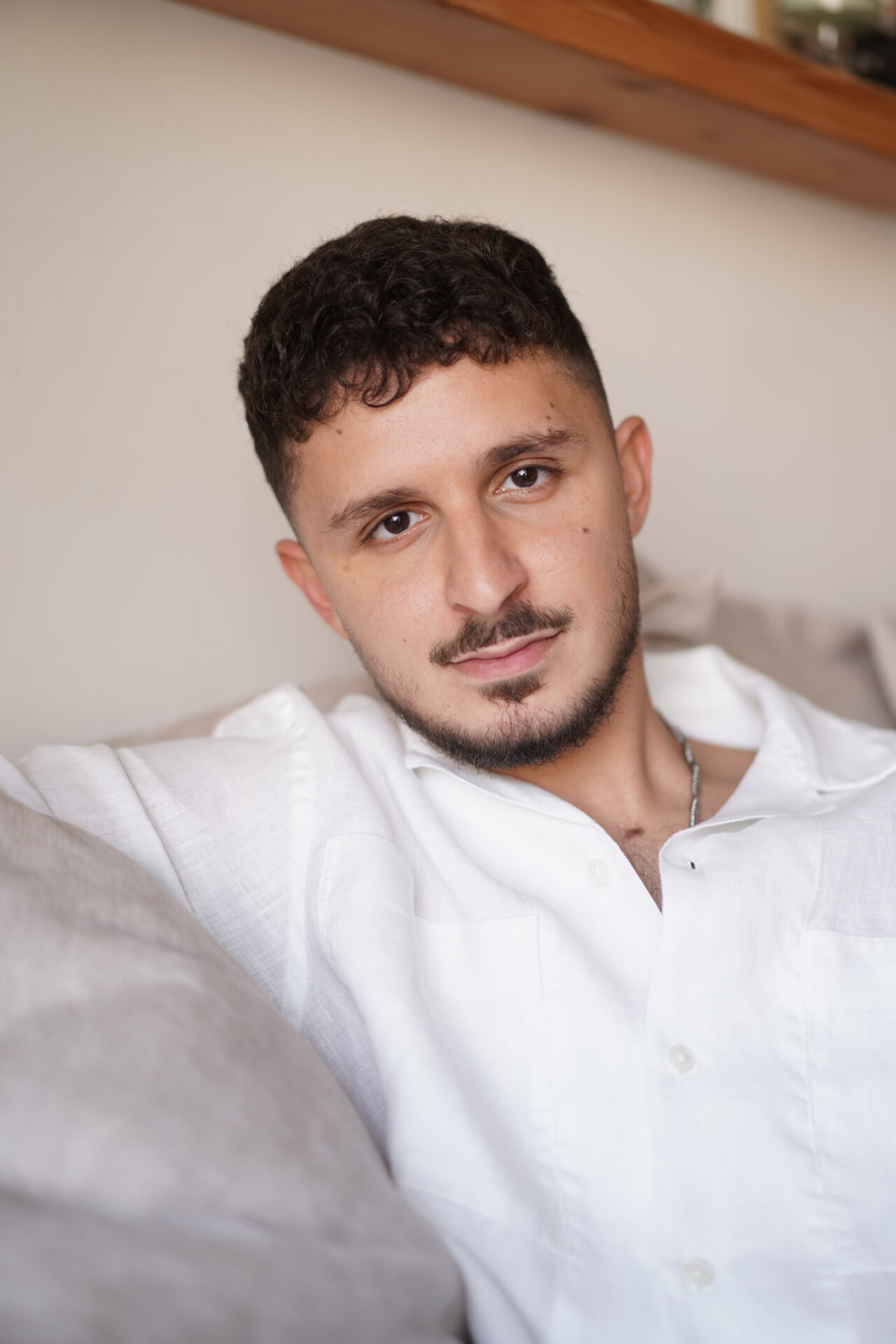 שחף מישורי שרון (4)